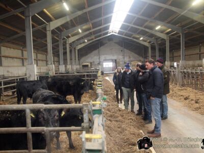 Jungbauern aus Schleswig-Holstein besuchen die Wagyu Farm